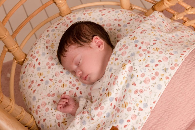 Lenzuolo Culla Fiori e Farfalle - Bassinet Sheet Flowers & Butterflies