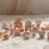 Costruzioni in Legno Blocchi Rosa Pink Fairy Garden - Building Blocks Pink Fairy Garden (LD7345)