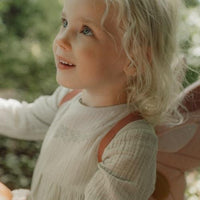 Ali di Fata e Bacchetta Magica Rosa - Fairy Wings and Magic Wand Pink Fairy Garden (CL24099035)