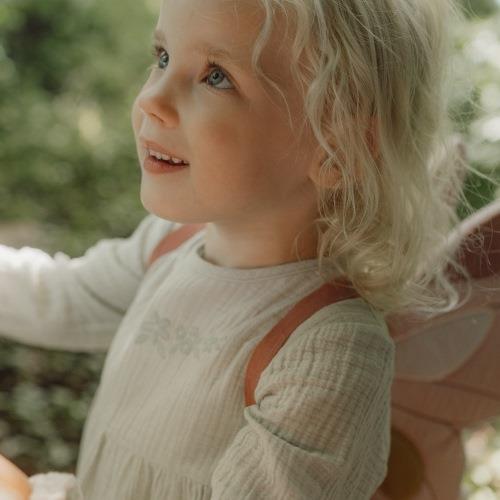 Ali di Fata e Bacchetta Magica Rosa - Fairy Wings and Magic Wand Pink Fairy Garden (CL24099035)