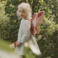 Ali di Fata e Bacchetta Magica Rosa - Fairy Wings and Magic Wand Pink Fairy Garden (CL24099035)