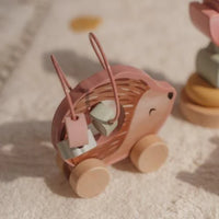 Set Regalo in Legno Fairy Garden - Gift Box Gif Box Wood Fairy Garden