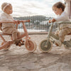 Triciclo 4 in 1 Rosa - 4 in 1 Tricycle Pink