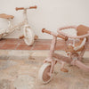 Triciclo 4 in 1 Rosa - 4 in 1 Tricycle Pink
