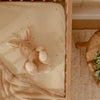 Lampada Coniglietto Coccoloso con Luci e Suoni Beige Baby Bunny - Cuddle Bunny Light & Sound Beige Baby Bunny