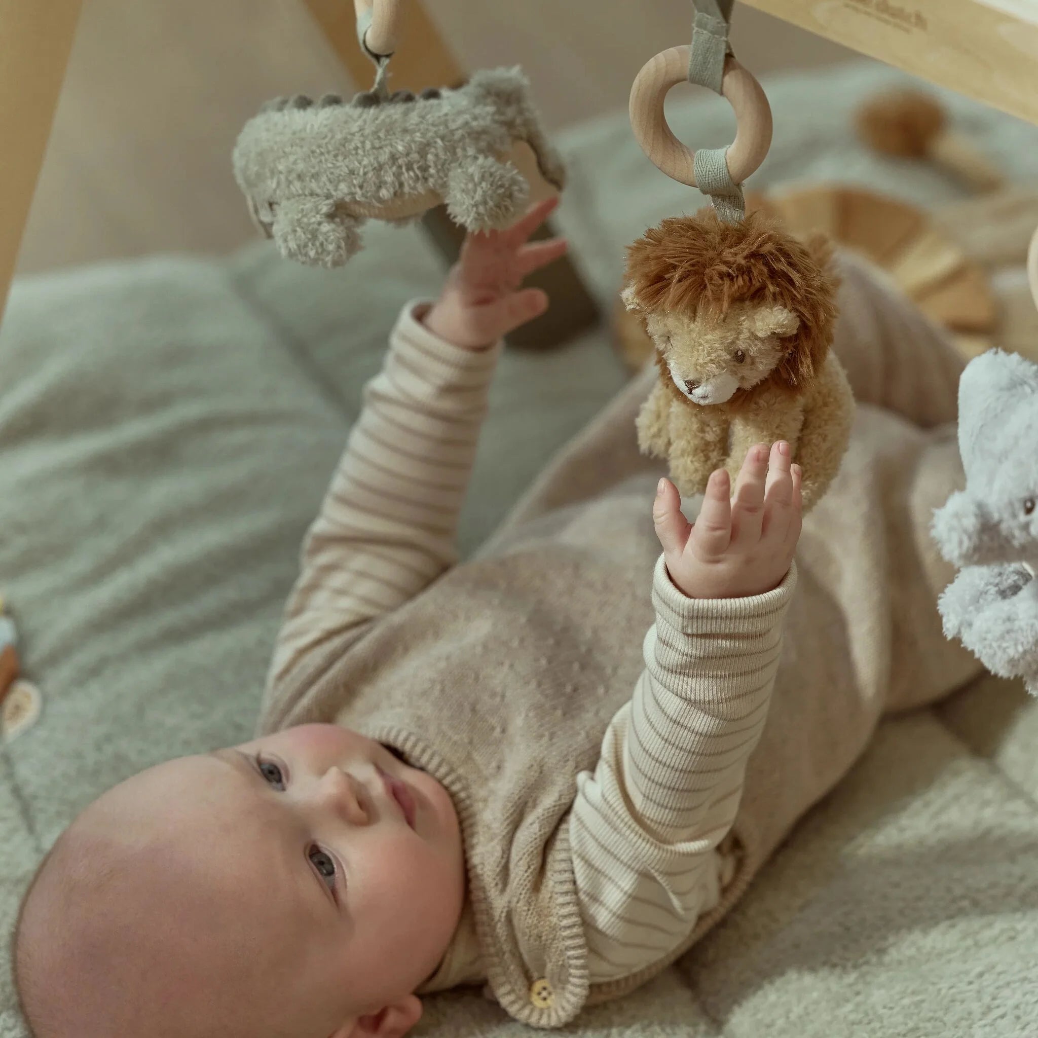 Little Dutch | Palestrina in Legno Safari Friends | LD8310