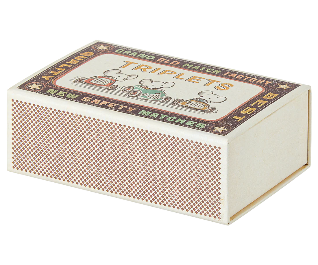3 Gemelli Topini Bebè in Scatola di Fiammiferi - Triplets Baby Mice in Matchbox