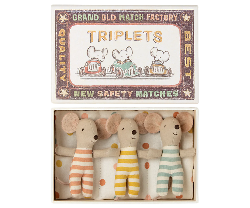 3 Gemelli Topini Bebè in Scatola di Fiammiferi - Triplets Baby Mice in Matchbox