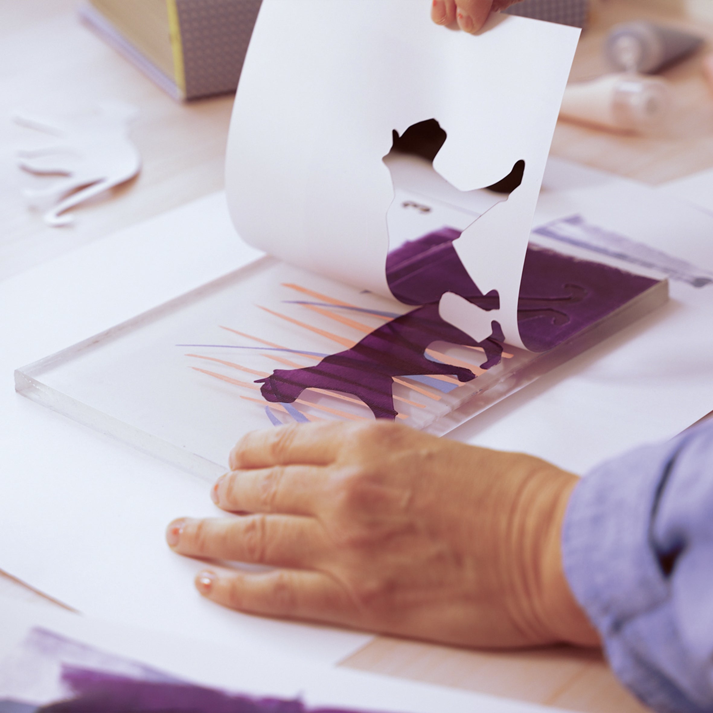 Djeco | Atelier 47 Stampa su Gel Ateliers Grands Augustinis | GA10047