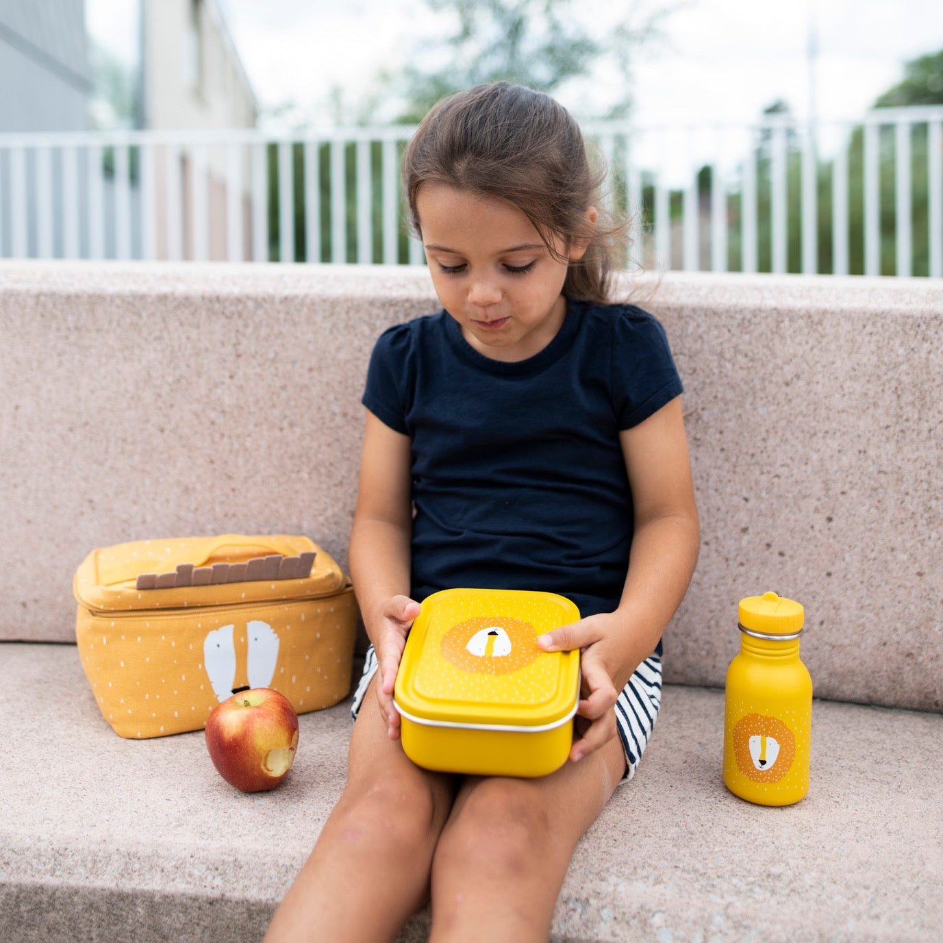 Trixie | Lunch Box Small Mr. Lion | 59-213