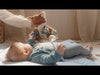Peluche Attività Volpe Fox Forest Friends Amici della Foresta - Activity Fox Forest Friends