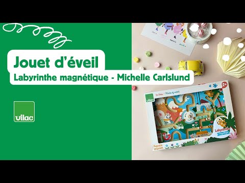 Vilac Labirinto Magnetico Animali Divertenti di Michelle Carlslund (8520)